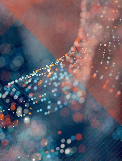 Part 5: Cyber Insurance Trends – Navigating Coverage in an Evolving Risk Landscape