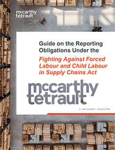 Cover of Modern Slavery Guidebook