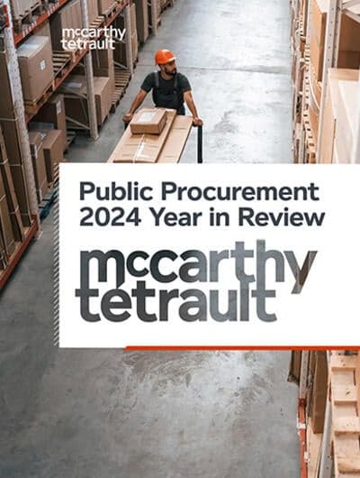 Public Procurement 2024 Year in Review