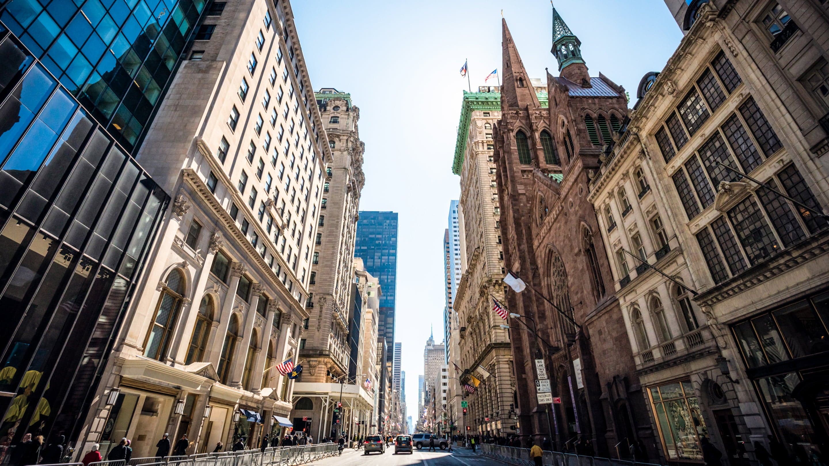 Meet the New York Team